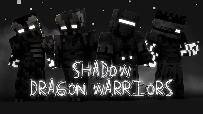 Shadow Dragon Warriors Key Art