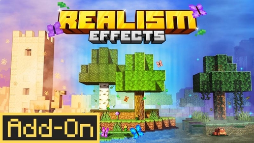Realism Effects