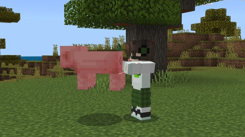 Carry More Add-On Screenshot #6