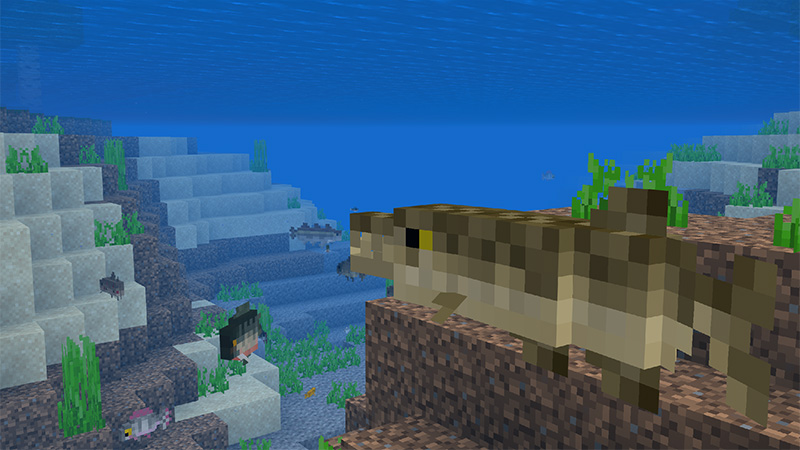 Fishing + Add-on Screenshot #9