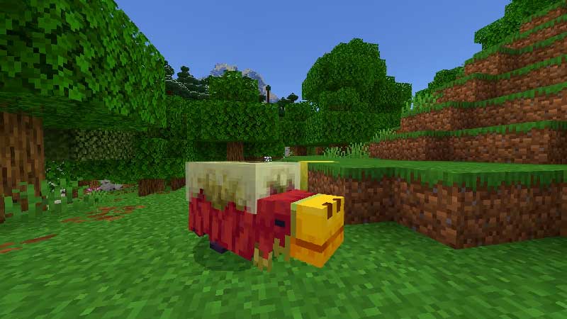 Chaos Cubed: Cursed Cube Add-On by Minecraft