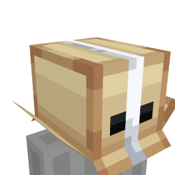 Big Cardboard Head