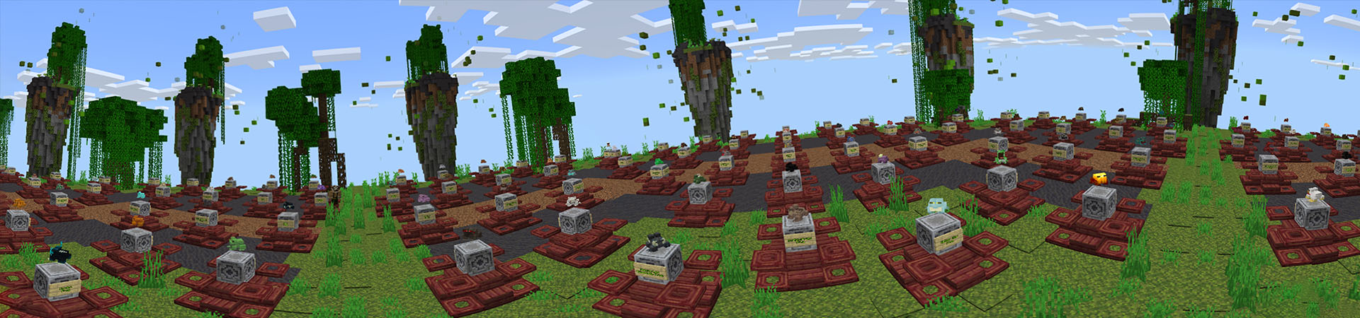 Frog Block Panorama