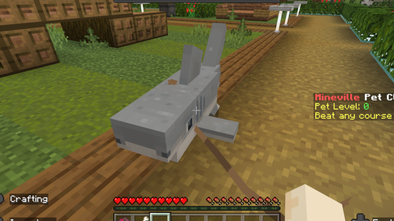 Shark Pet Screenshot #2
