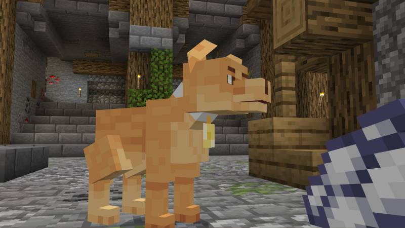 Cachorro Caramelo Add-On by A30x1