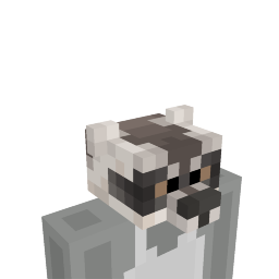 Raccoon Head