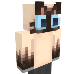 Curious Cat on the Minecraft Marketplace by Venift