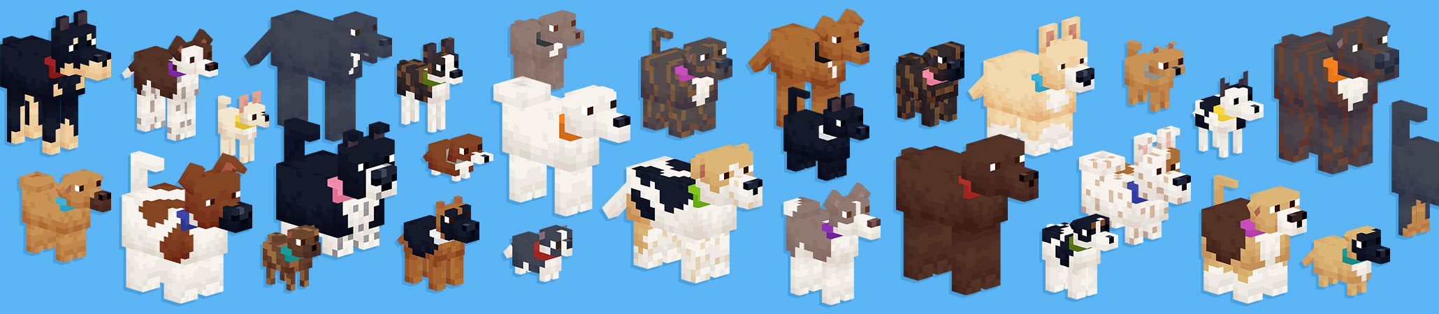 Rescue Dogs - MUTTS! Add-On Panorama