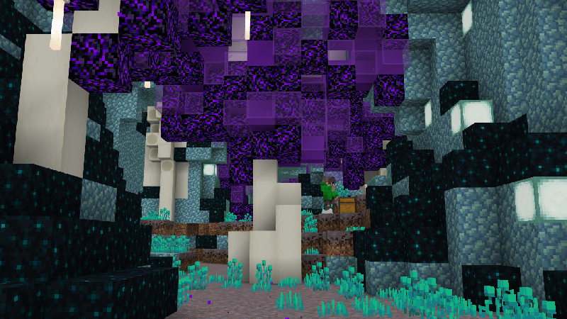 ENDER DRAGON BUNKER Screenshot #4