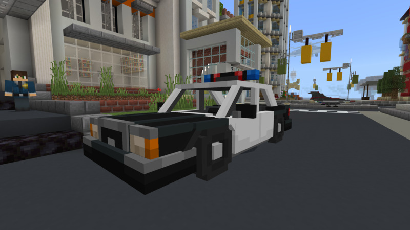 Police Rank Screenshot #1