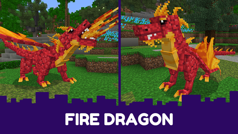 Dragons Buddy - Gift Screenshot #6