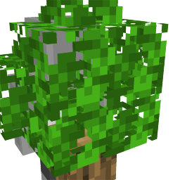 Oak Tree