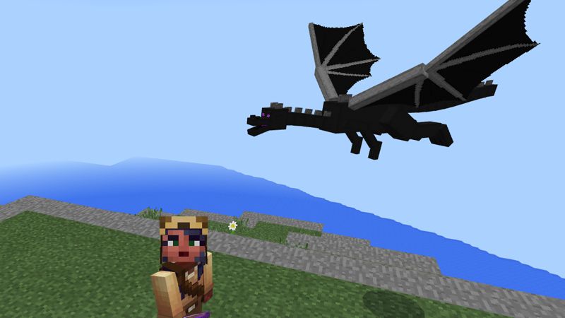 Mini Ender Dragon Pet screenshot