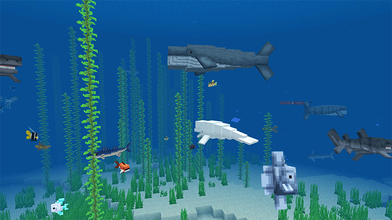 Ocean Expansion Add-On 3.0 Ocean Expansion Add-On 3.0 by Hourglass Studios