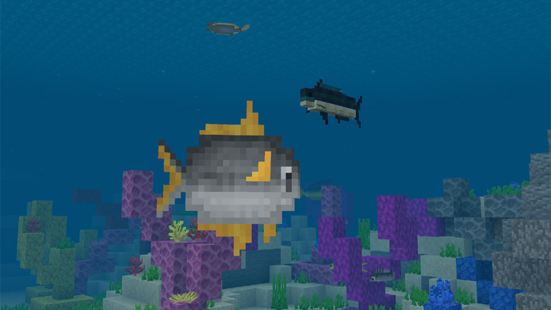 Fishing + Add-on Screenshot #3