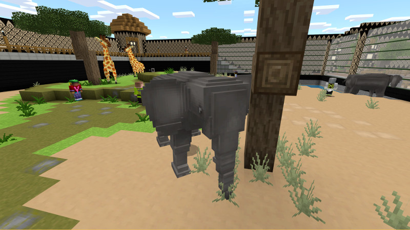 Rescue Zoo Rescue Zoo by House of How