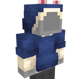 Animated Kitten Hoodie