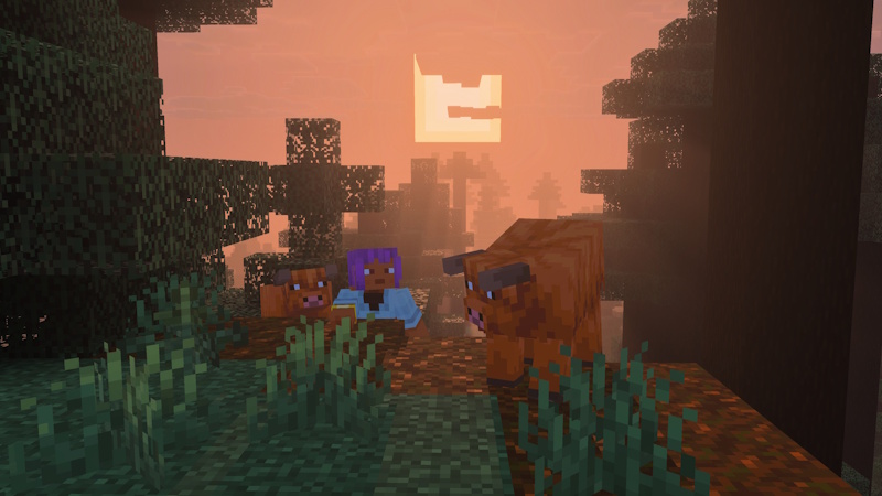 Vibrant Memories Add-On Screenshot #2
