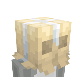 Surprise Package on the Minecraft Marketplace by GoE-Craft