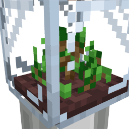 Terrarium