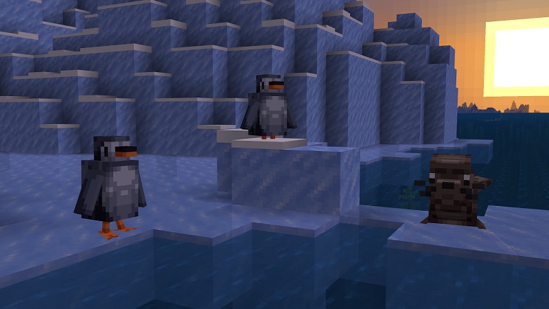 Ocean+ Add-On Ocean+ Add-On by Street Studios
