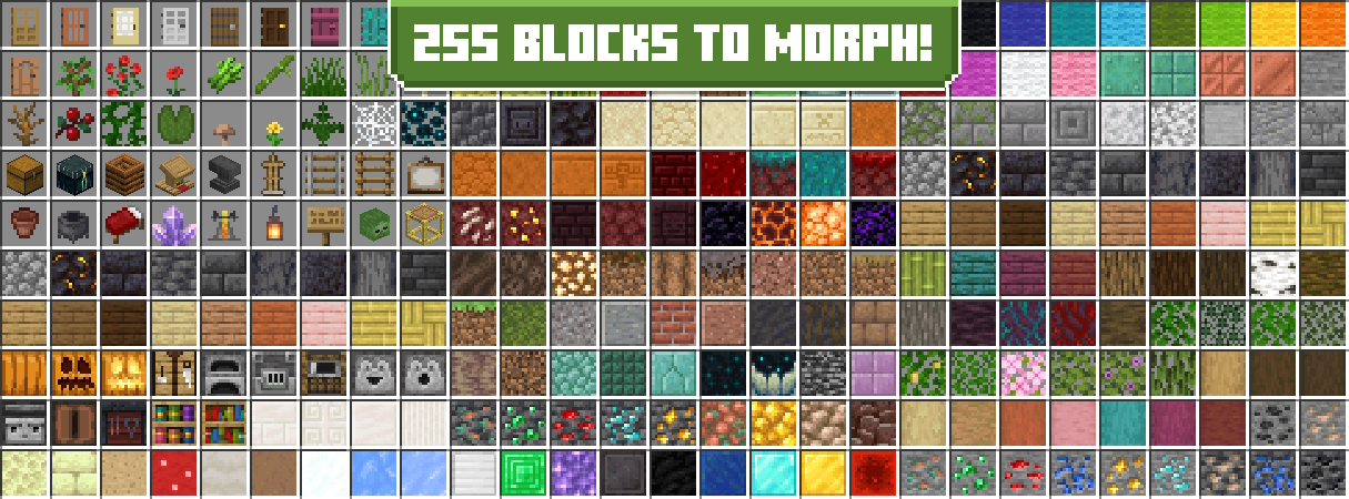 Morph Into Blocks Panorama