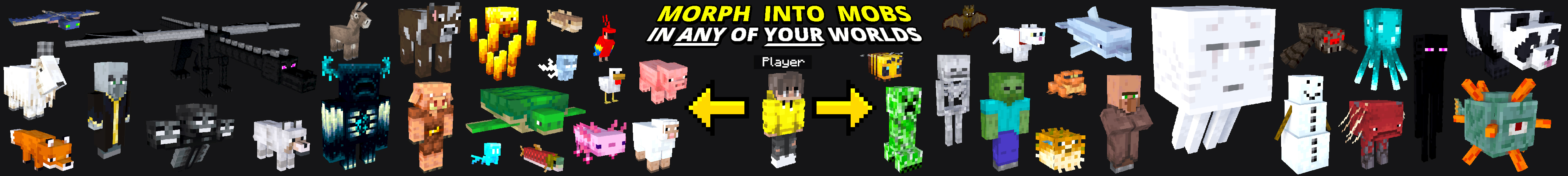 Morph: Add-On Edition Panorama