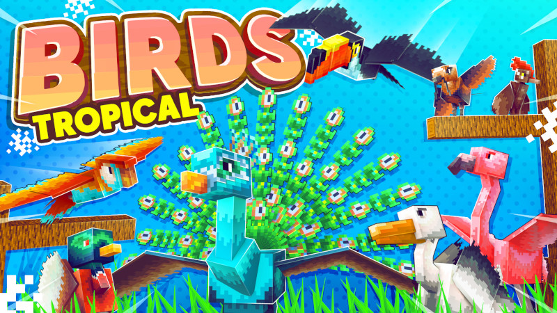 Birds: Tropical Key Art