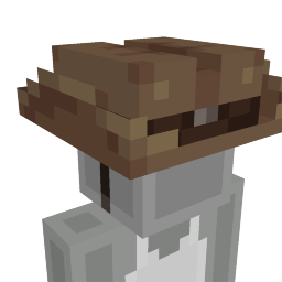 Cowboy Hat