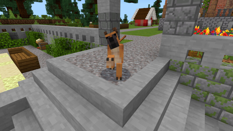 Dog Sanctuary Screenshot #7