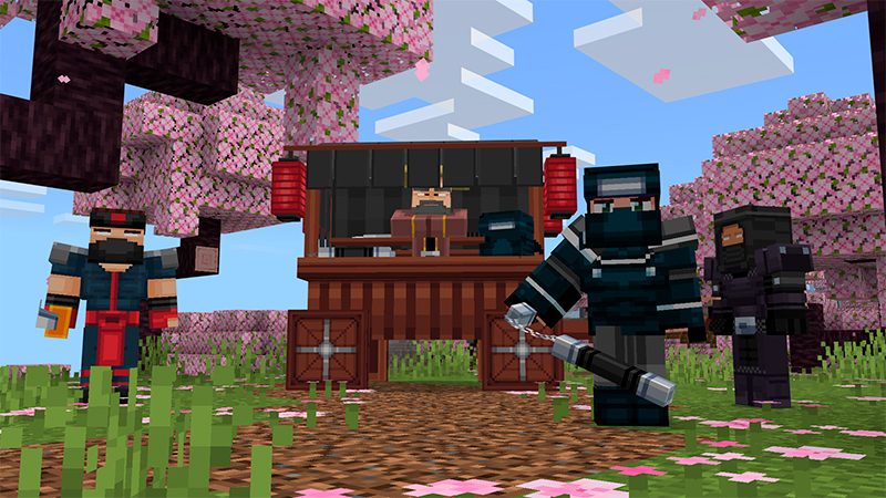 Ninjas Add-On Screenshot #2