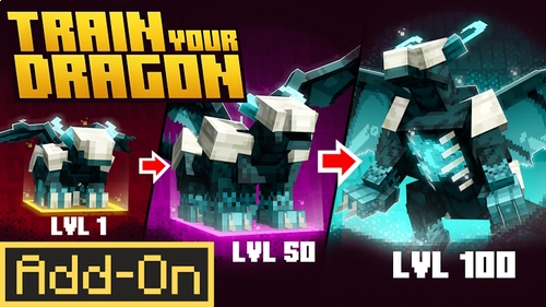 Train Your Dragon