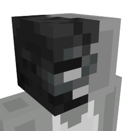 Half Wither Face on the Minecraft Marketplace by Radium Studio