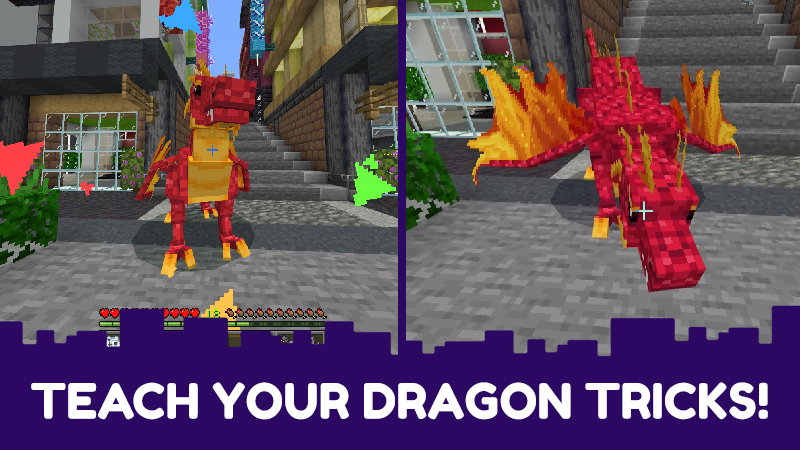 Dragons Buddy - Gift Screenshot #5