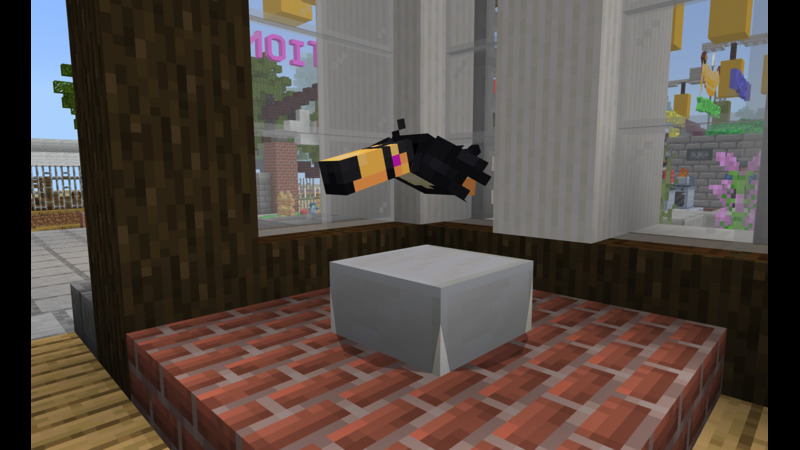 Toucan Pet Screenshot #1