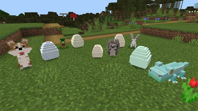 Adopt a Pet screenshot 3