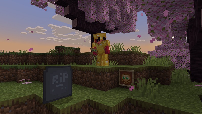 Advanced Hearts Add-On Screenshot #2