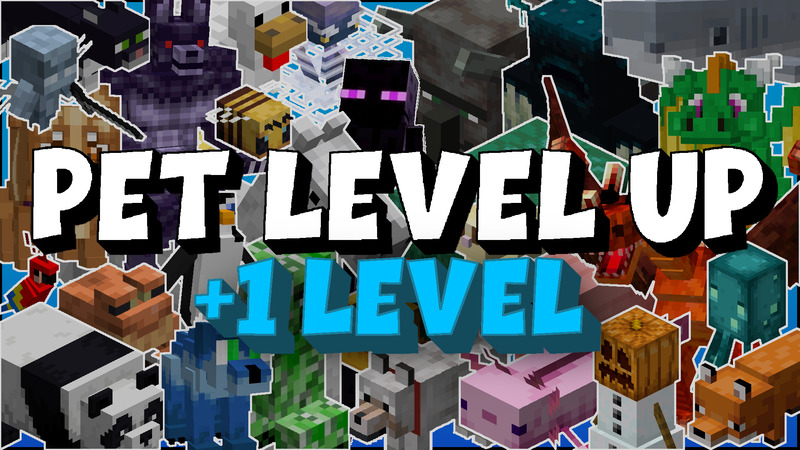 Pet Level Up - One Level Key Art