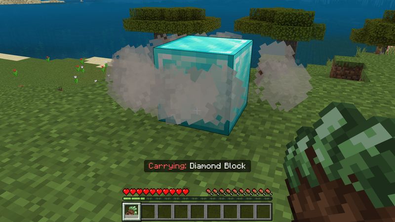Carry More Add-On Screenshot #10