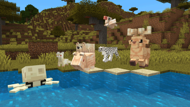 Albino Animals by Hourglass Studios