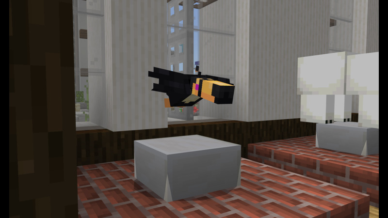 Toucan Pet Screenshot #2