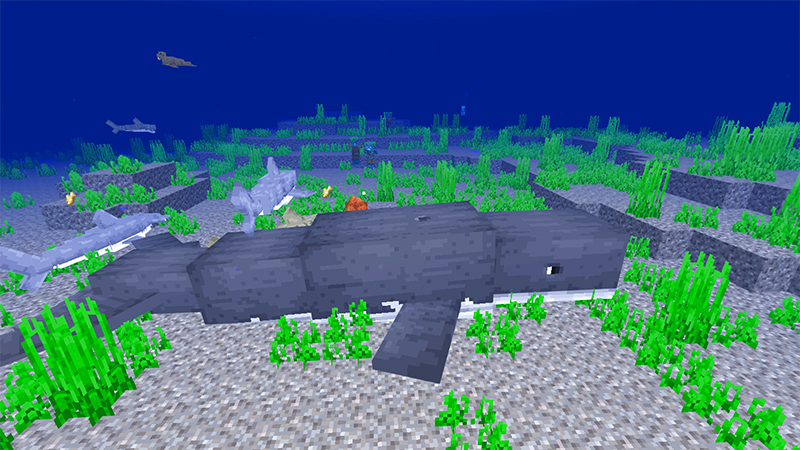 Ocean Expansion Add-On 3.0 Ocean Expansion Add-On 3.0 by Hourglass Studios