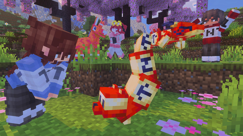 TNT+ Add-On TNT+ Add-On by Builders Horizon