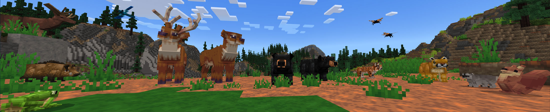 Forest Wildlife Explorers Panorama