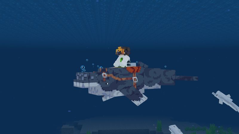 Ocean Explorers Add-On Screenshot #4