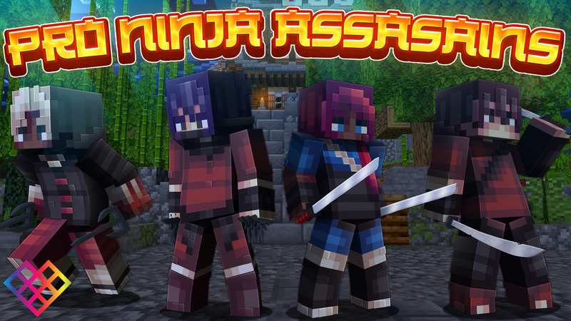 Pro Ninja Assasains Key Art