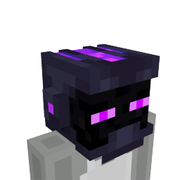 Enderman Helmet