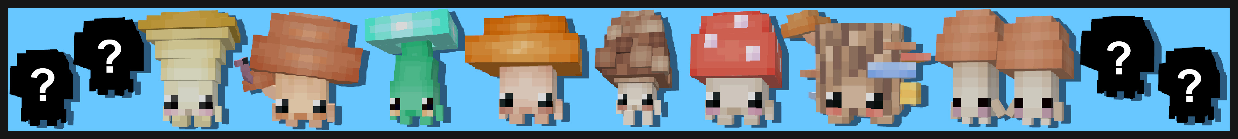 Mushrooms Pets + Panorama