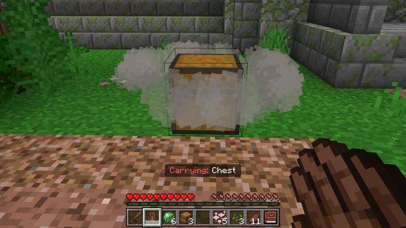 Carry More Add-On Screenshot #8