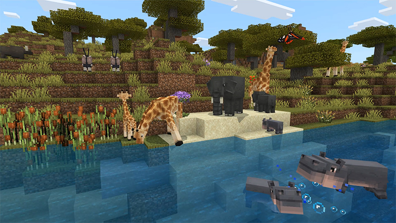 Wilderness Add-On by Lifeboat